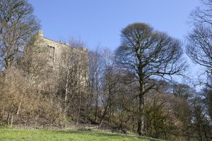 Hardwick Hall 9 sm.jpg